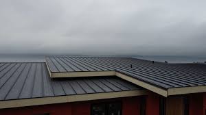 Best Solar Panel Roofing Installation  in Fritz Creek, AK